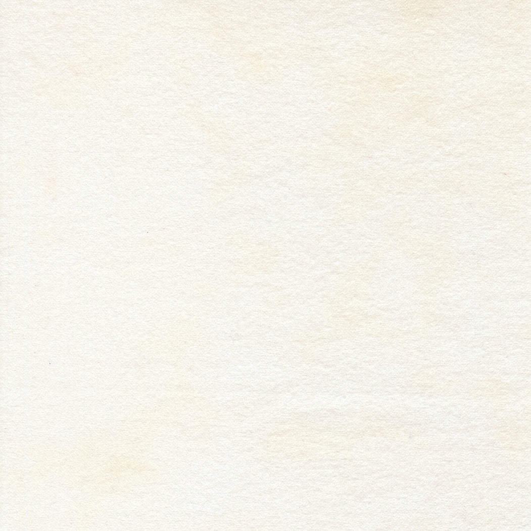 Fabric Moda Cloud Mottled Flannel Gathering Basics by the Quarter Yard 1040-91F