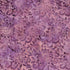 Fabric Lumin Purple Foxglove Medallion Flowers Songbird Island Batiks by the Quarter Yard 112604410