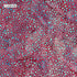 Fabric Lumin Red/Redwood Mini Dot Feather Fantasy Island Batiks by the Quarter Yard 112680380