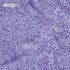 Fabric Lumin Purple/Foxglove Mini Dot Feather Fantasy Island Batiks by the Quarter Yard 112680410