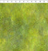 Fabric In The Beginning Lime Enchant Dear Clara by the Quarter Yard 12DCL-1