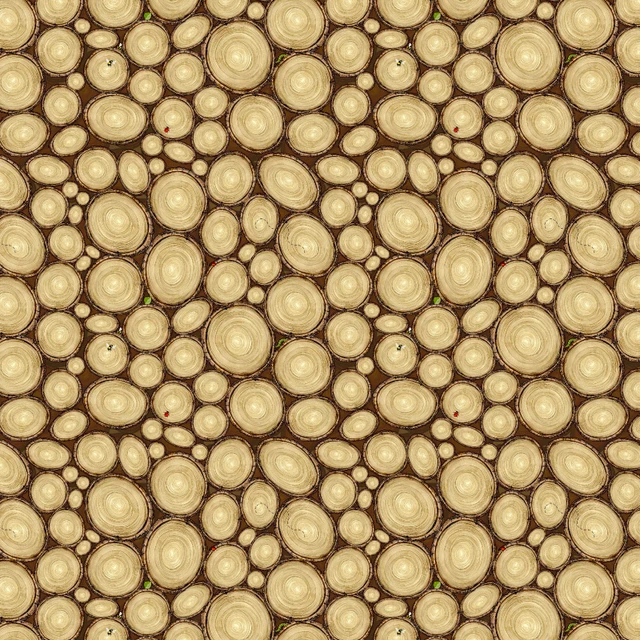 Fabric Henry Glass Brown Tree Rings Happy Campers by the Quarter Yard 2732-33