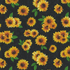 Fabric Wilmington Prints Black Sunflower Toss Sunshine Whispers by the Quarter Yard 28655-957