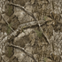 Fabric A.E. Nathan Brown Tree Bark and Branches REALTREE by the Quarter Yard 2885-43