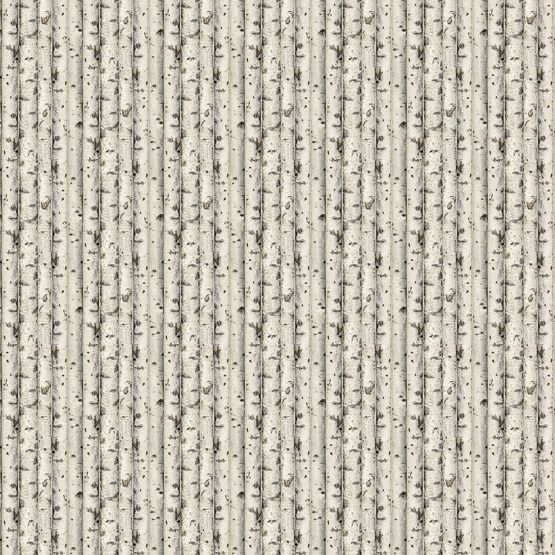 Fabric Northcott Beige Birch Highland Ridge by the Quarter Yard 29384-12