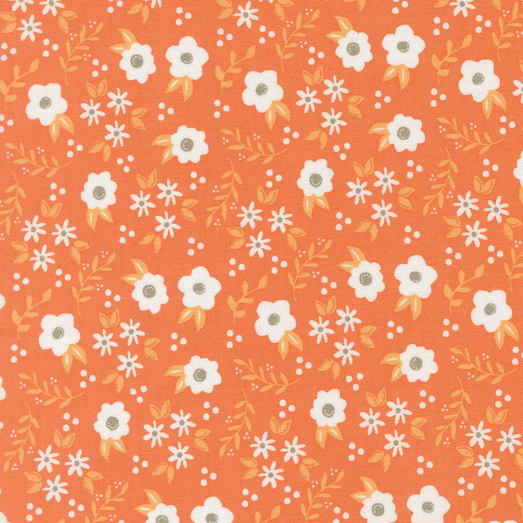 Fabric Moda Pumpkin Mums Birch and Willow by the Quarter Yard 37725-14