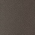 Fabric Moda Charcoal Spring Dot Birch and Willow by the Quarter Yard 37728-18