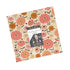 Fabric Moda Precuts Ladybug Whimsy Layer Cake 48440LC