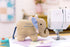 bernette b57 Sewing and Quilting Machine