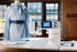 BERNINA B495 Liberty Edition Sewing Machine