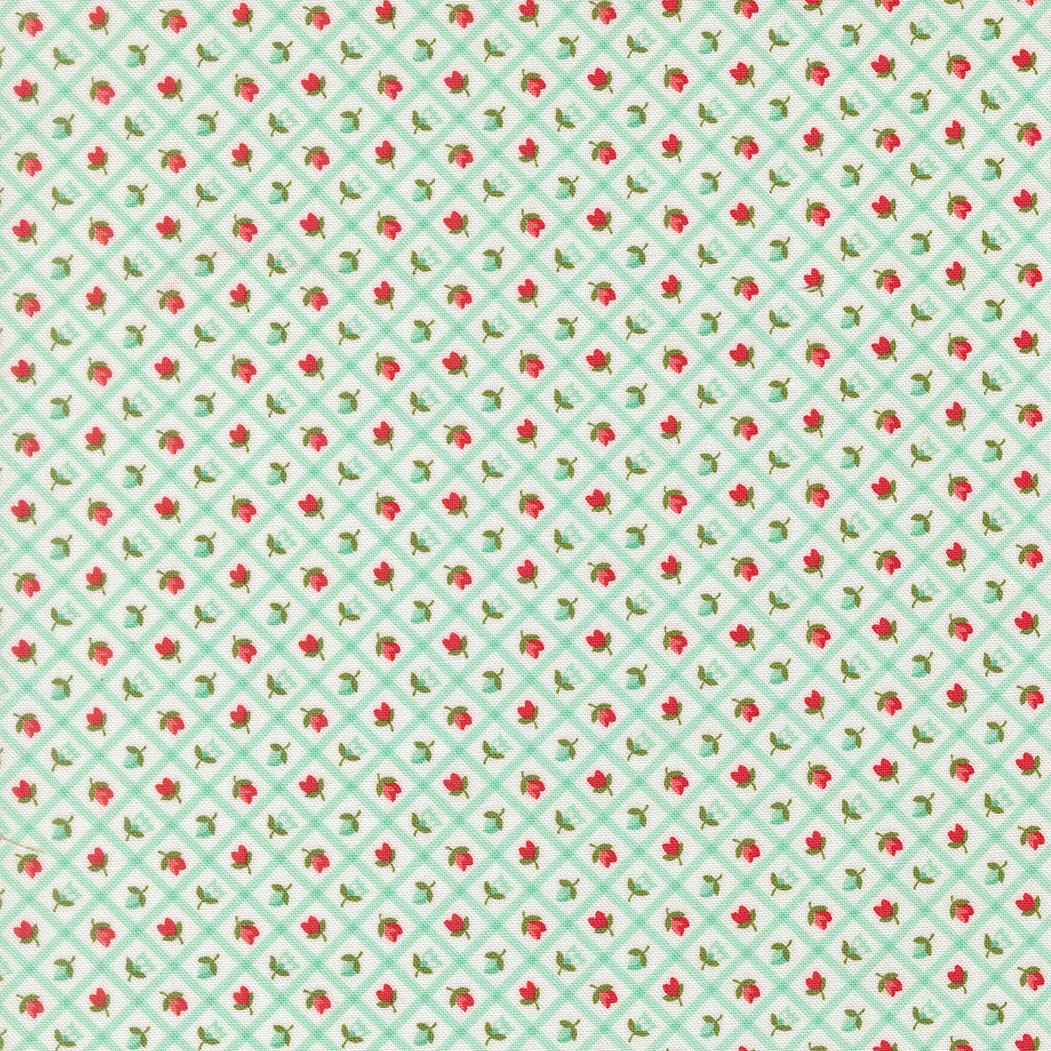 Fabric Moda Aqua Check Bloomsberry by the Quarter Yard 55358-23