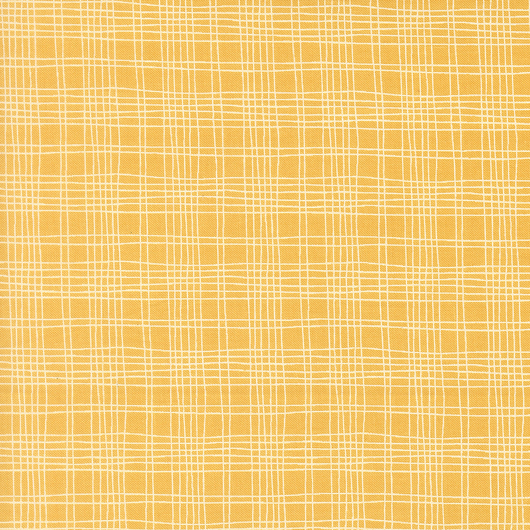 Fabric Moda Sunshine Plaid Bug Collector by the Quarter Yard 55737-15