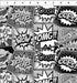 Fabric In The Beginning Gray Comics Sketchbook Prints by the Quarter Yard 7SK-1