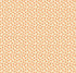 Fabric Anna Maria Buttermilk Twinkling Sunseekers by the Quarter Yard AMT198-10V