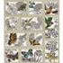 Anita Goodesign Nature Sketches Embroidery Design Collection 272AGHD