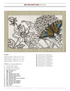 Anita Goodesign Nature Sketches Embroidery Design Collection 272AGHD
