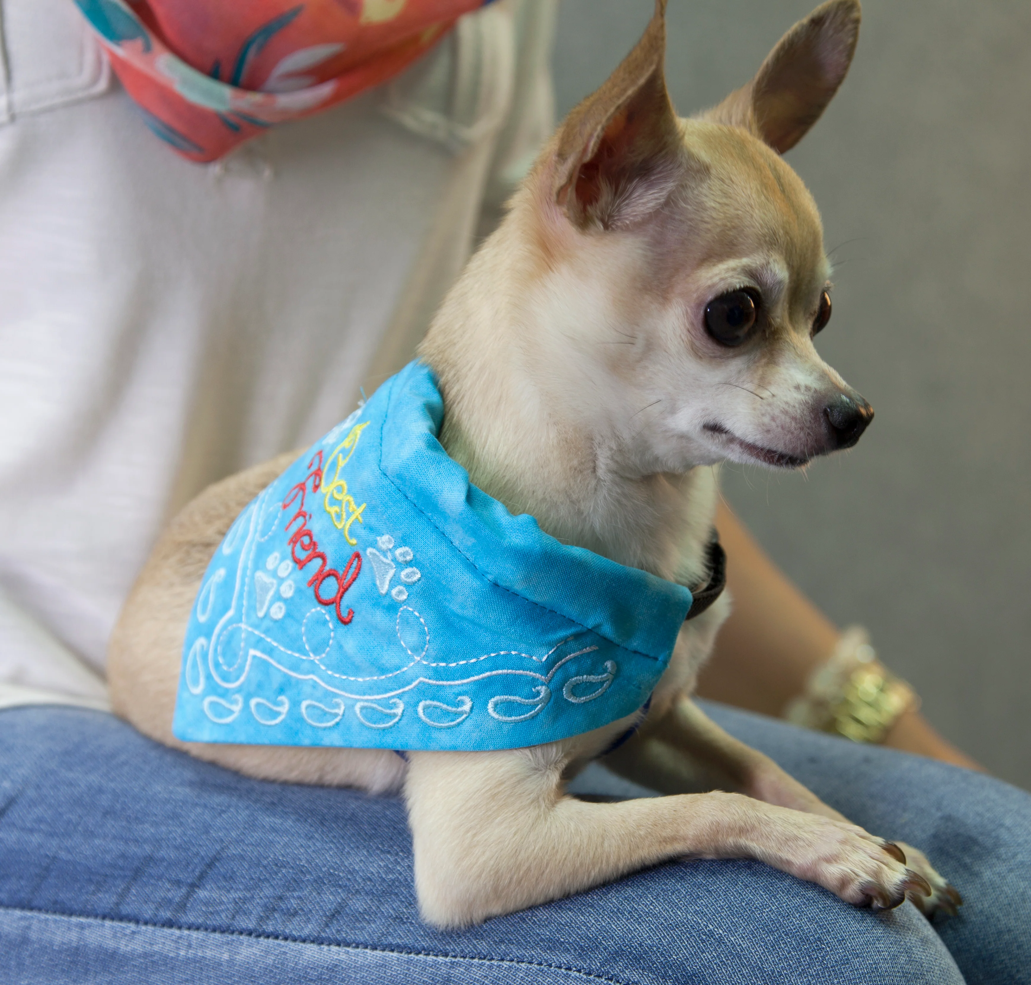 Anita Goodesign Pet Bandanas Embroidery Design Collection PROJ75