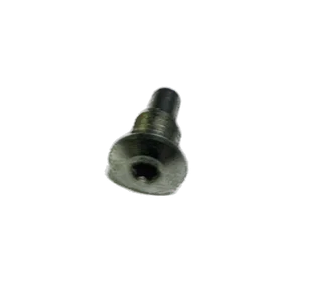 BERNINA Replacement Needle Stop Screw 32667.50.02