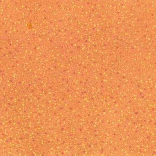 Fabric M & S Lemon Tree Bush Worm by the Quarter Yard BWLT