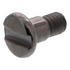 A single metal slotted screw with a threaded shaft, shown on a plain white background.