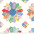 Fabric Riley Blake Multi Cheater Print Traditional 30's by the Quarter Yard C18249-MULTI