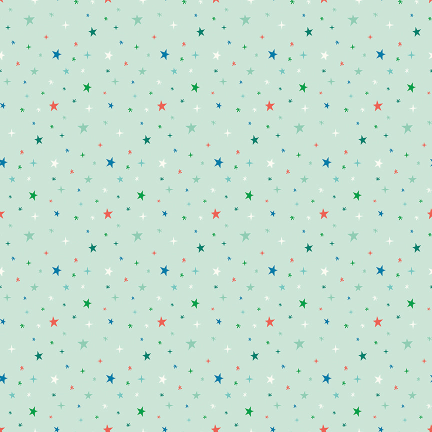 Fabric Riley Blake Mint Beyond the Stars Brave Your Way by the Quarter Yard C18314-MINT