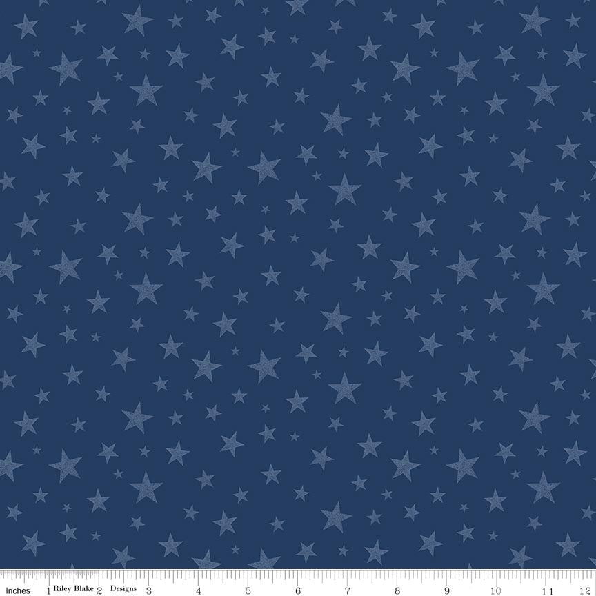 Fabric Riley Blake Blue Stars Valor Is Never Forgotten by the Quarter Yard C18884-BLUE
