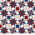 Fabric Riley Blake Multi Quilt Blocks Valor Is Never Forgotten by the Quarter Yard C18885-MULTI