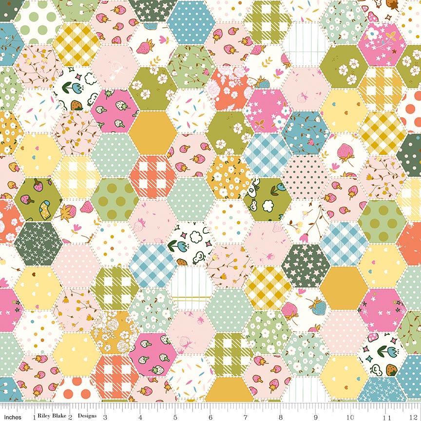 Fabric Riley Blake Multi Hexies Ashmere by the Quarter Yard C18891-MULTI