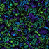 Fabric Timeless Treasures Black Gaming Gamer by the Quarter Yard CD4398-BLACK