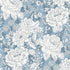 Fabric P & B Textiles Blue and White Vintage Floral Charlotte 108" Wide Back by the Quarter Yard 6408-BW
