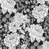 Fabric P & B Textiles Black and White Vintage Floral Charlotte 108" Wide Back by the Quarter Yard 6408-K
