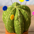 Corinne Lapierre Cactus Pincushion Felt Craft Kit MKCCT1F