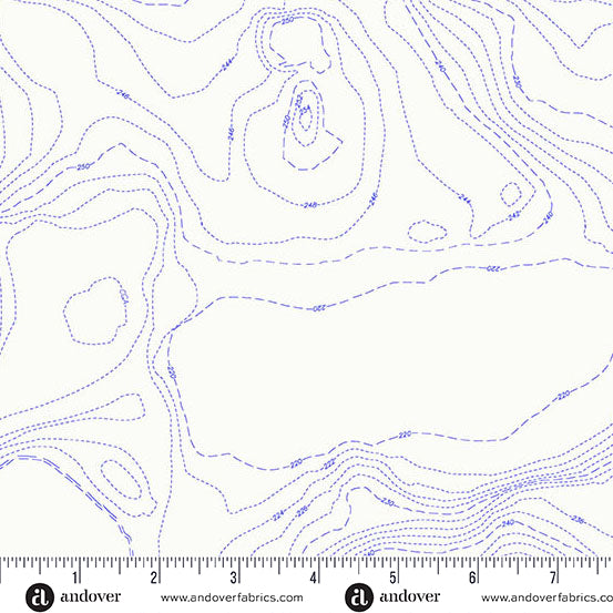 Fabric Andover Pond Topography Sun Print Whisper by the Quarter Yard A-1557-B