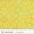 Fabric Anthology Batiks Goldenrod Sea Urchins Blaze by the Quarter Yard 2972Q-X