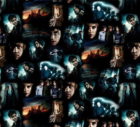 Fabric Benartex Black Harry Potter Moments Harry Potter 2nd Edition by the Quarter Yard 15263-12