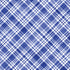 Blue and white plaid fabric