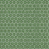 Hexagonal pattern with white lines on a green background