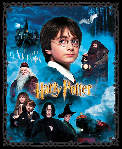 Fabric Benartex Multi Harry Potter Quilting Panel 15212-99