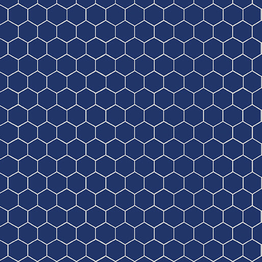 Hexagonal grid pattern on a blue background