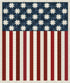 Fabric Benartex Navy/Red American Valor Panel 16871-57