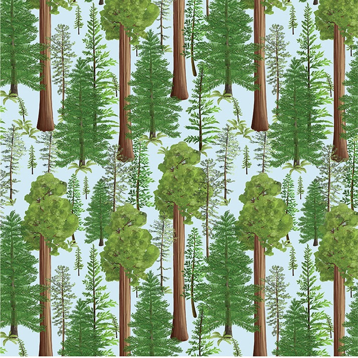 A repeating illustrated forest pattern with tall green conifer trees and several larger reddish-brown sequoia-style trunks on a pale blue background.
