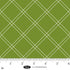 Fabric Blank Quilting Green Windowpane Plaid The Bright Side by the Quarter Yard 4513-66