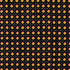 Fabric Cloud9 Black Studio Caning Summer Sun by the Quarter Yard 228821