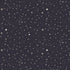 Fabric Dear Stella Designs Raven Bootiful Sky Love at First Bite by the Quarter Yard D3486