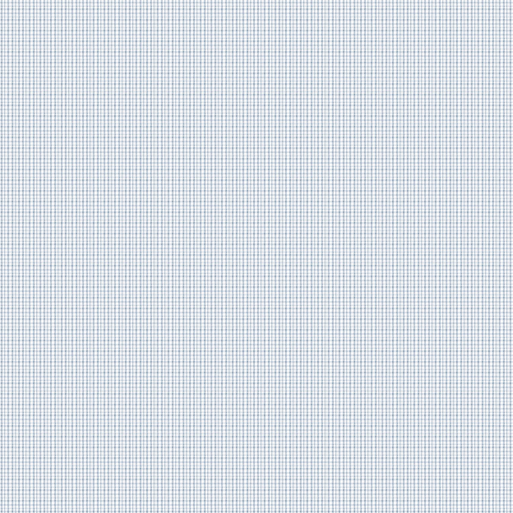 Fabric FIGO Blue Gingham Soaring Dreams by the Quarter Yard 91245-40