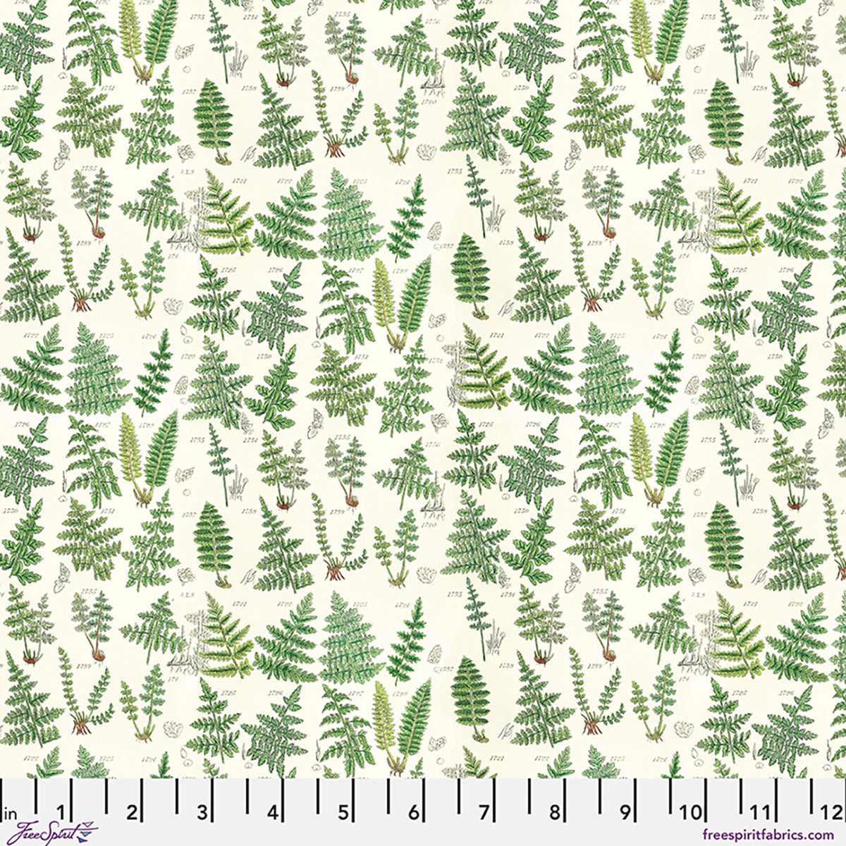 Pattern of green ferns on a white background