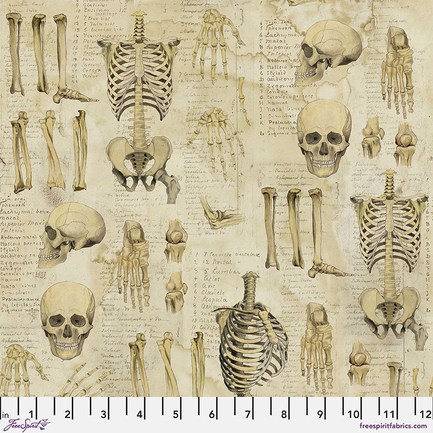 Fabric FreeSpirit Neutral Anatomy Eclectic Elements by the Quarter Yard PWTH181.NEUTRAL