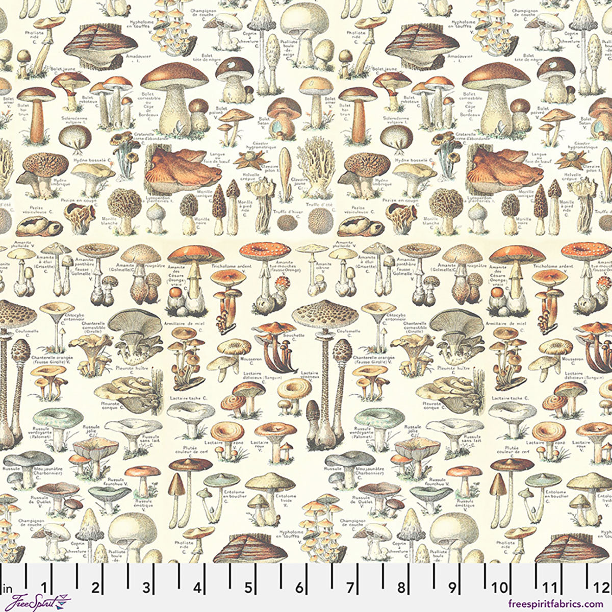 Pattern of various illustrated mushrooms on a fabric swatch with a ruler at the bottom.