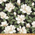 Fabric Hoffman Black/Gold Floral Blooms Ornament Grove Metallic by the Quarter Yard Y7802-4G